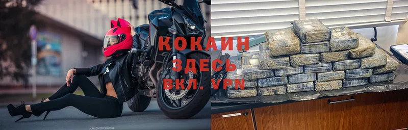 COCAIN Эквадор  Краснообск 